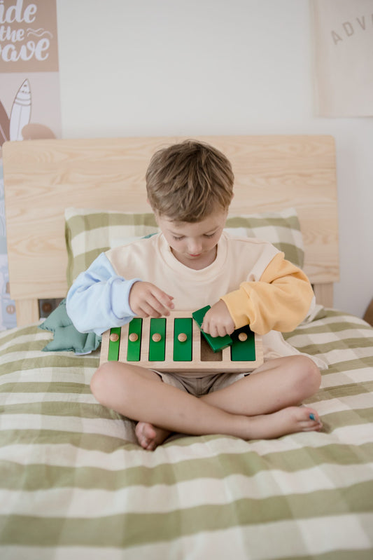 Qtoys Narrow-Wide Knob Puzzle