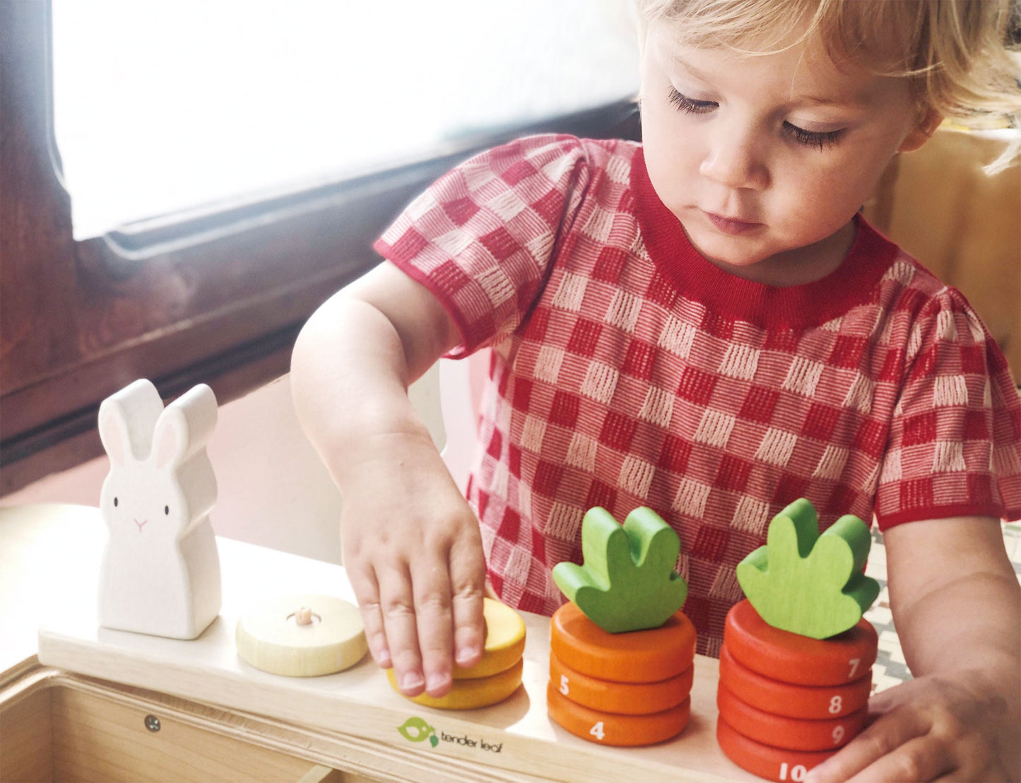 Tender Leaf Toys Counting Carrots