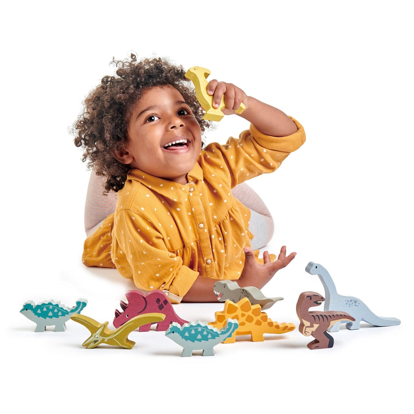 Tender Leaf Toys 1 Piece Dinosaur CDU Set