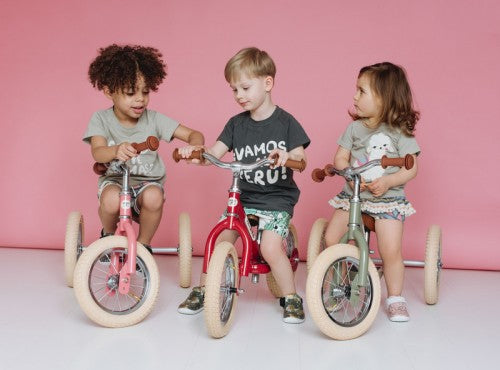 Trybike - Vintage Pink Steel