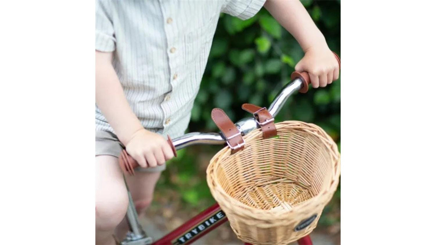 Trybike Basket Attachment