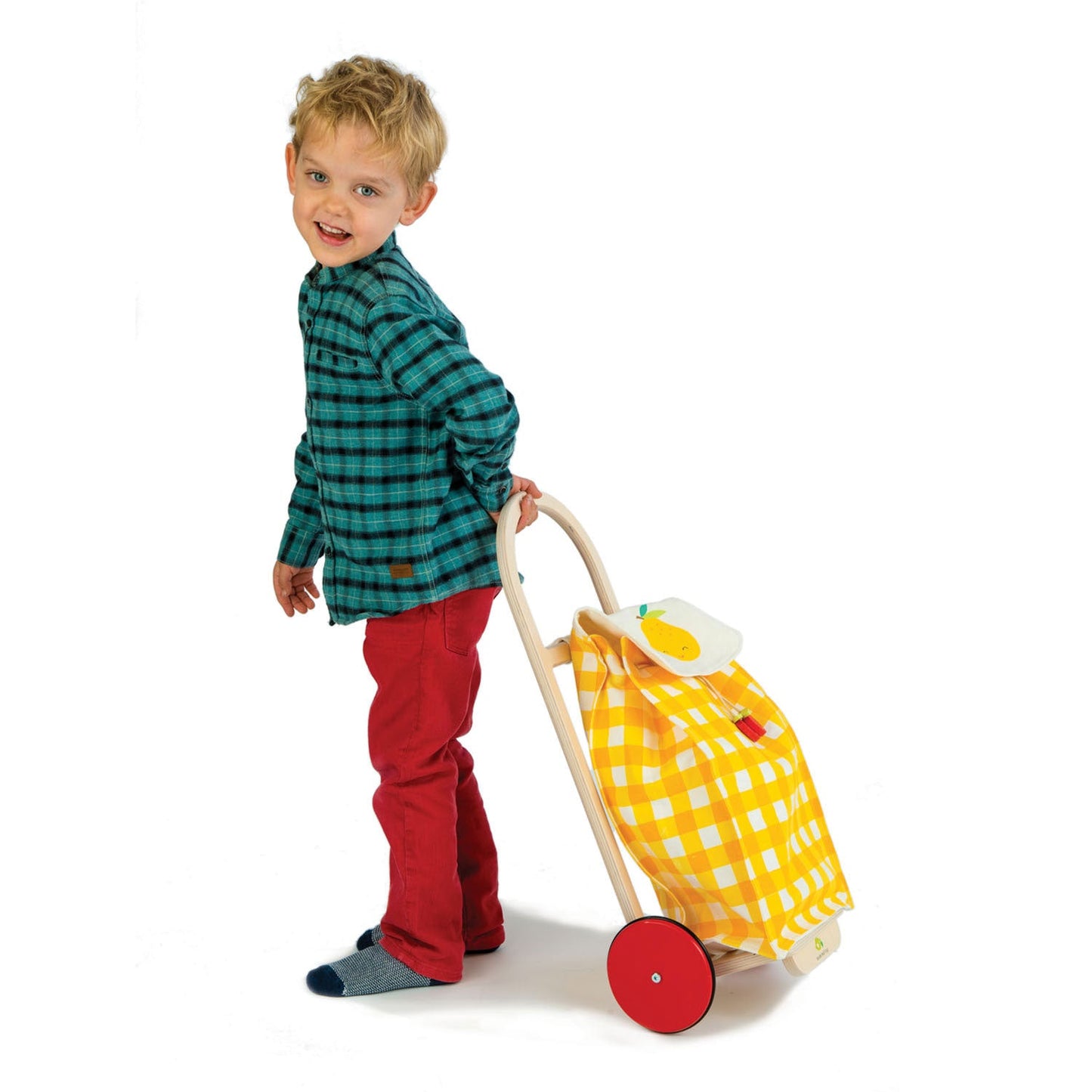 Tender Leaf Toys Pull Along Shopping Trolley