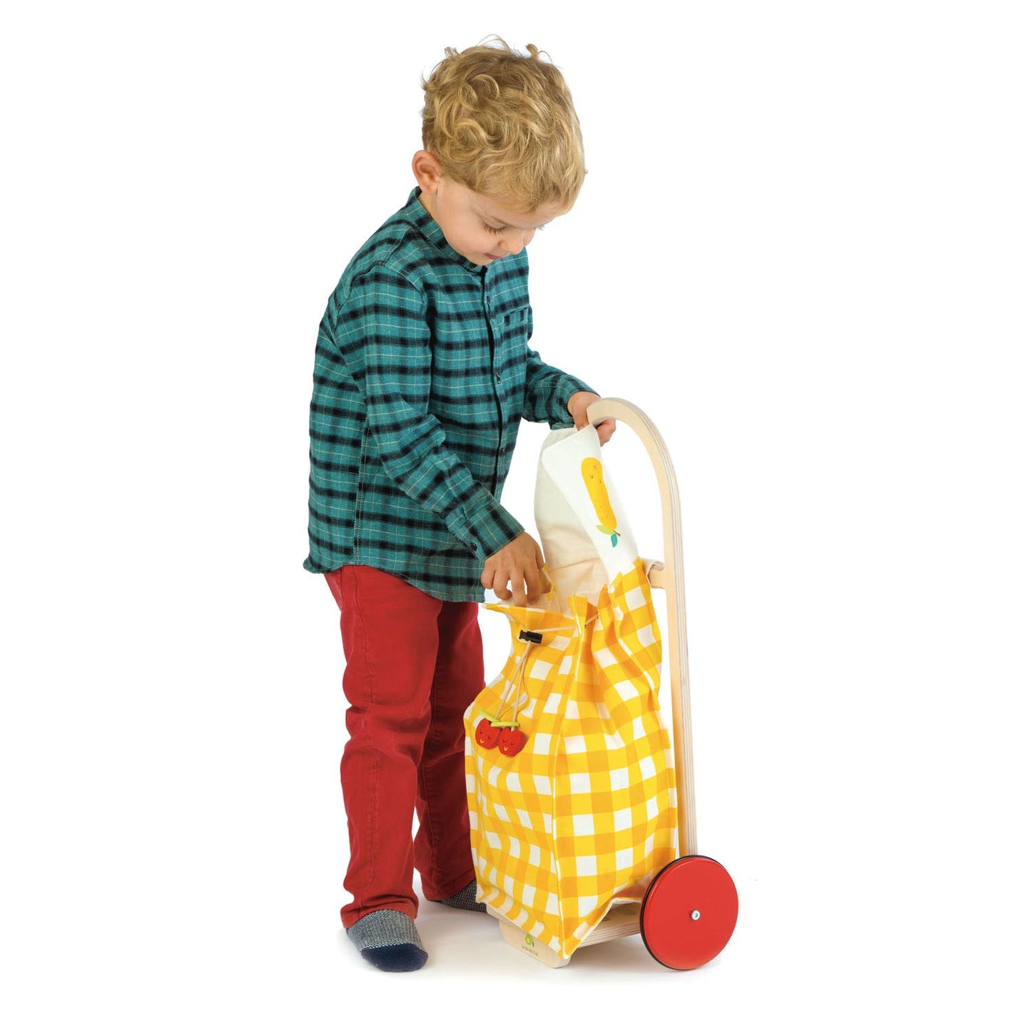 Tender Leaf Toys Pull Along Shopping Trolley