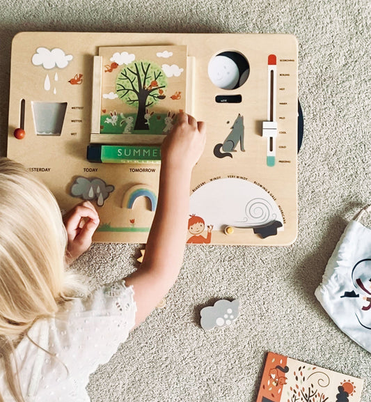 Tender Leaf Toys Weather Watch Station