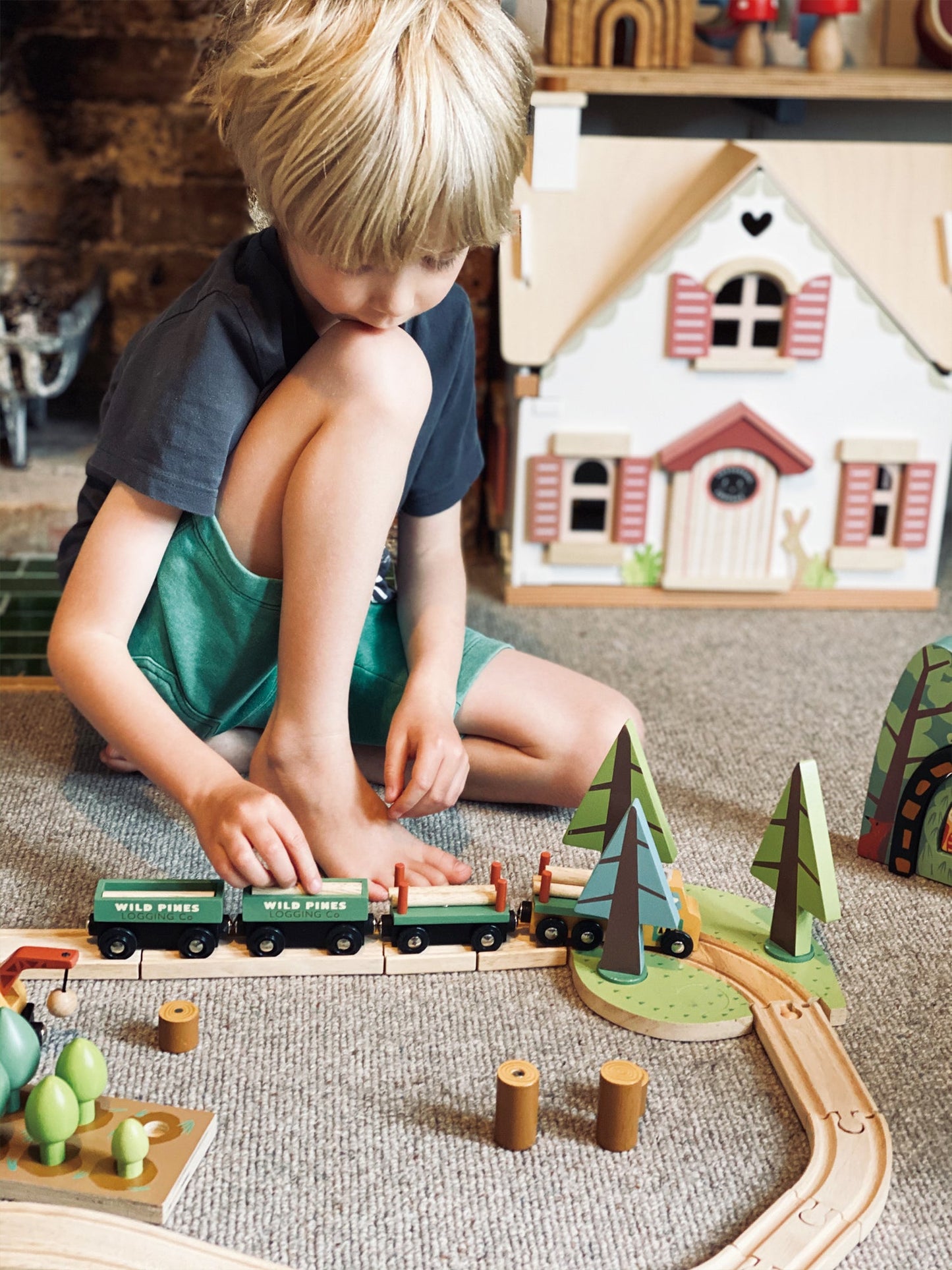 Tender Leaf Toys Wild Pines Train Set